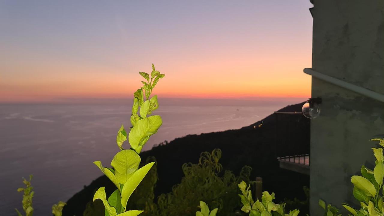 Sunset - Homy 5 Terre Retreat Apartment Biassa Luaran gambar